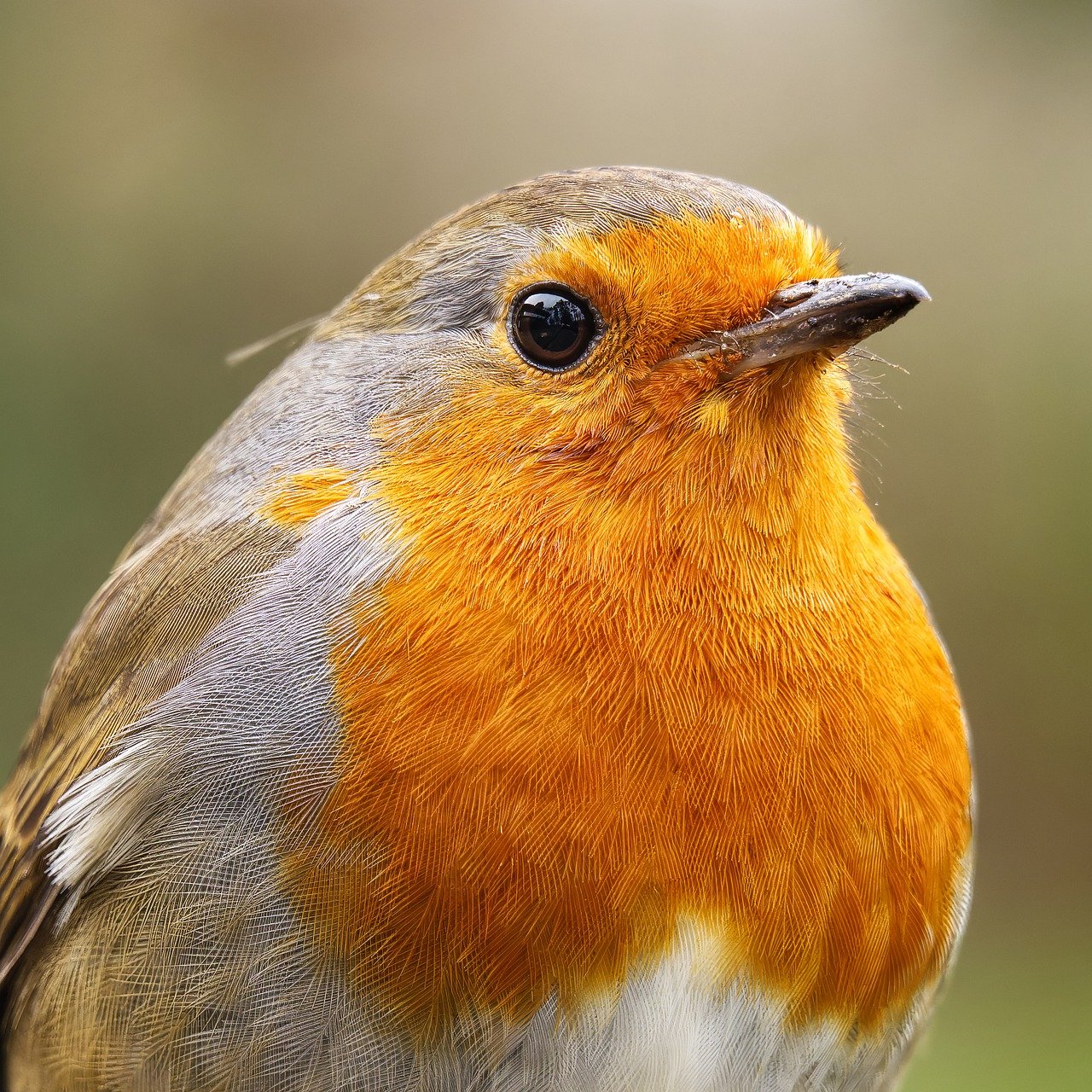 痩せ型体質の人に豊胸サプリは効きやすい？