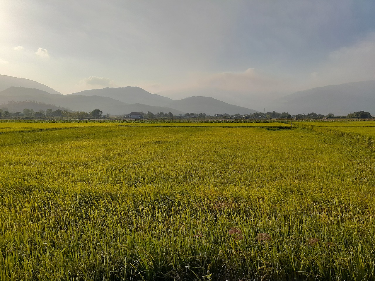 豊胸サプリがPMSを悪化させる？実際の体験談とは？