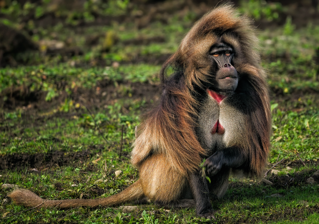 豊胸サプリの副作用で出血や不正出血が起きた場合の対処法は？